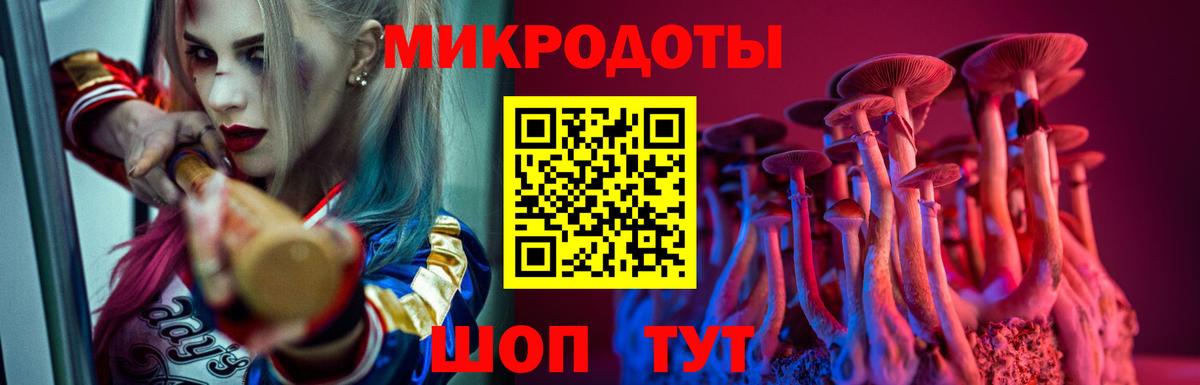 Воркута  Псилоцибиновые грибы Magic Shrooms  Вход с VPN 